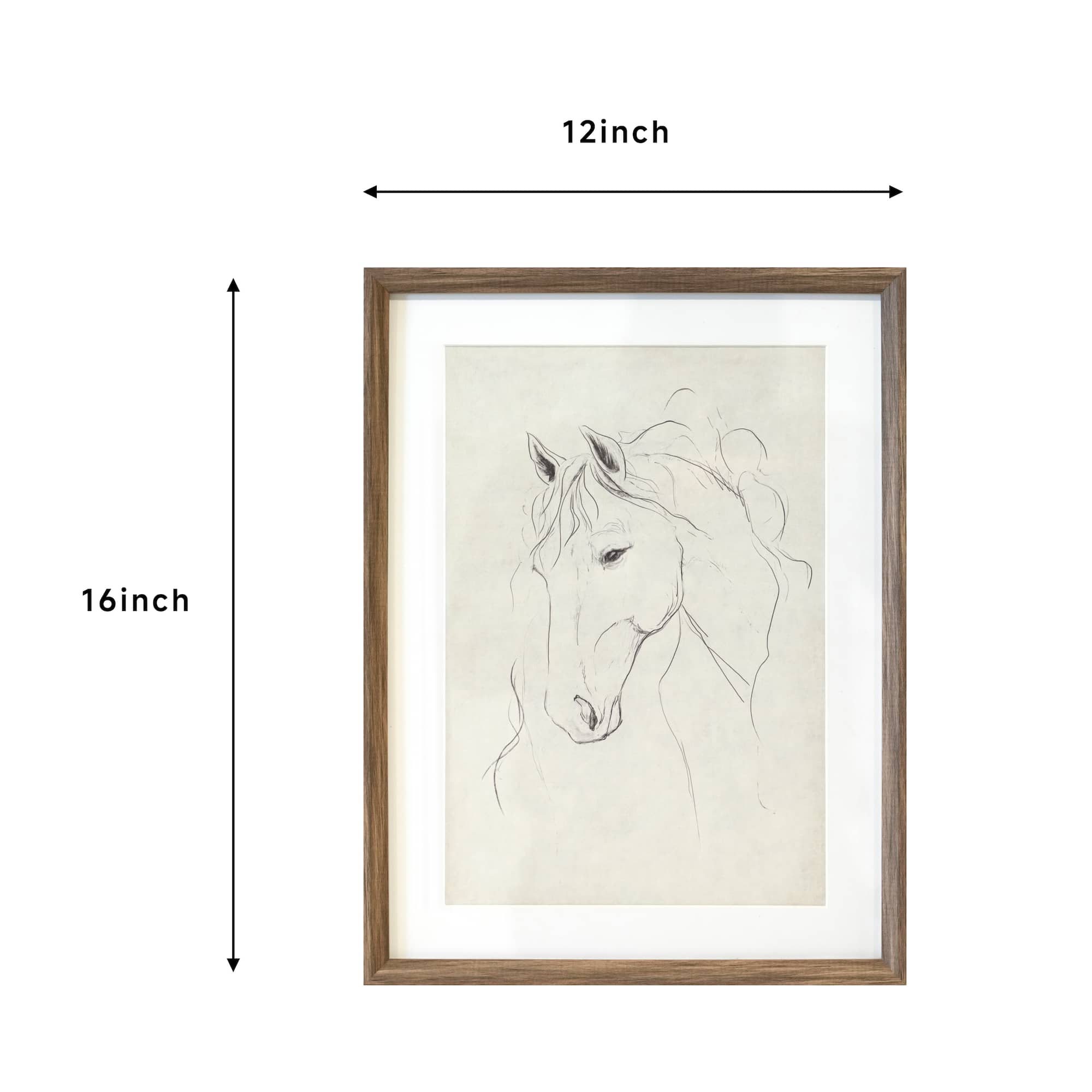 12" x 16" Horse Sketch Wall Art by Ashland®
